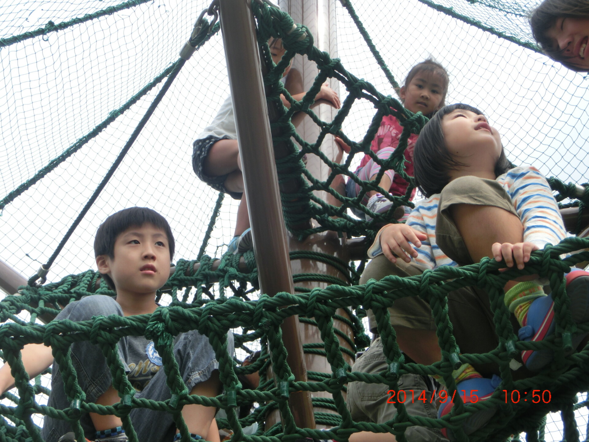 ファミリー キッズ南林間 児発ねっと